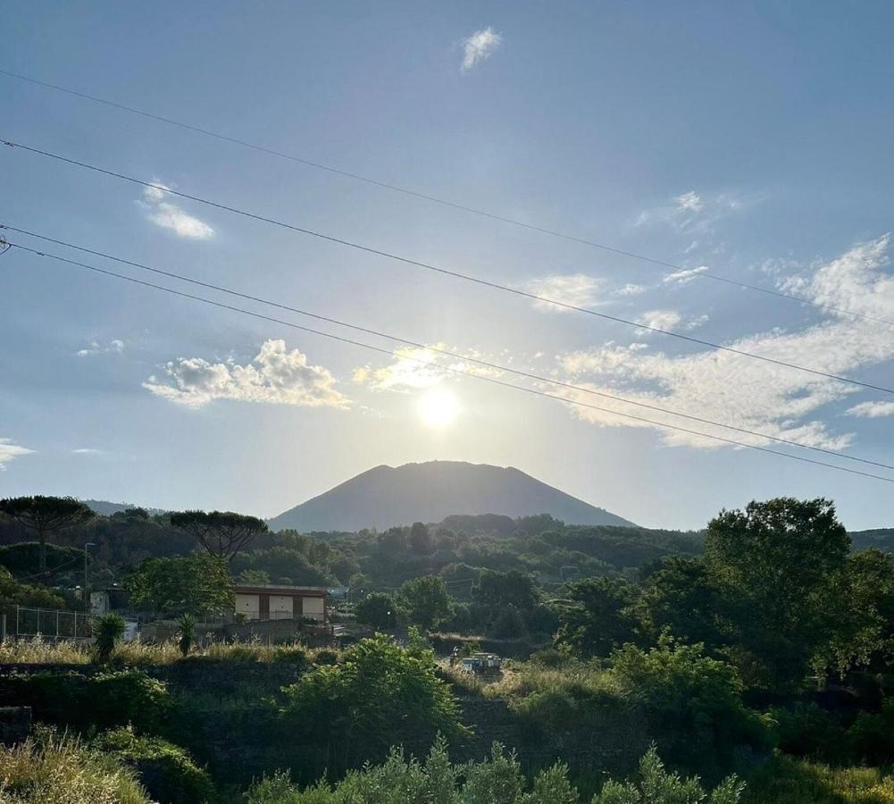 Ioli Vesuvio *