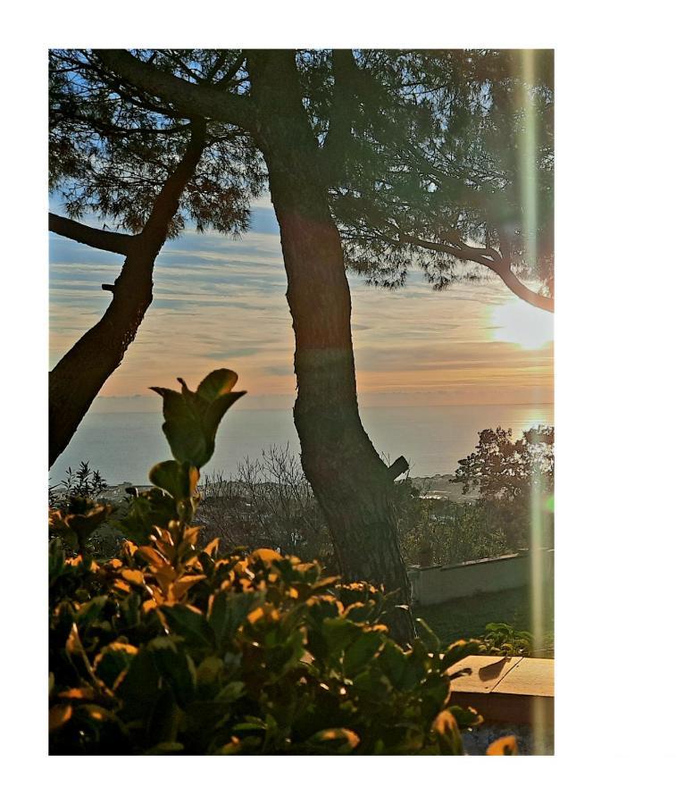 Ioli Vesuvio Bed & Breakfast *