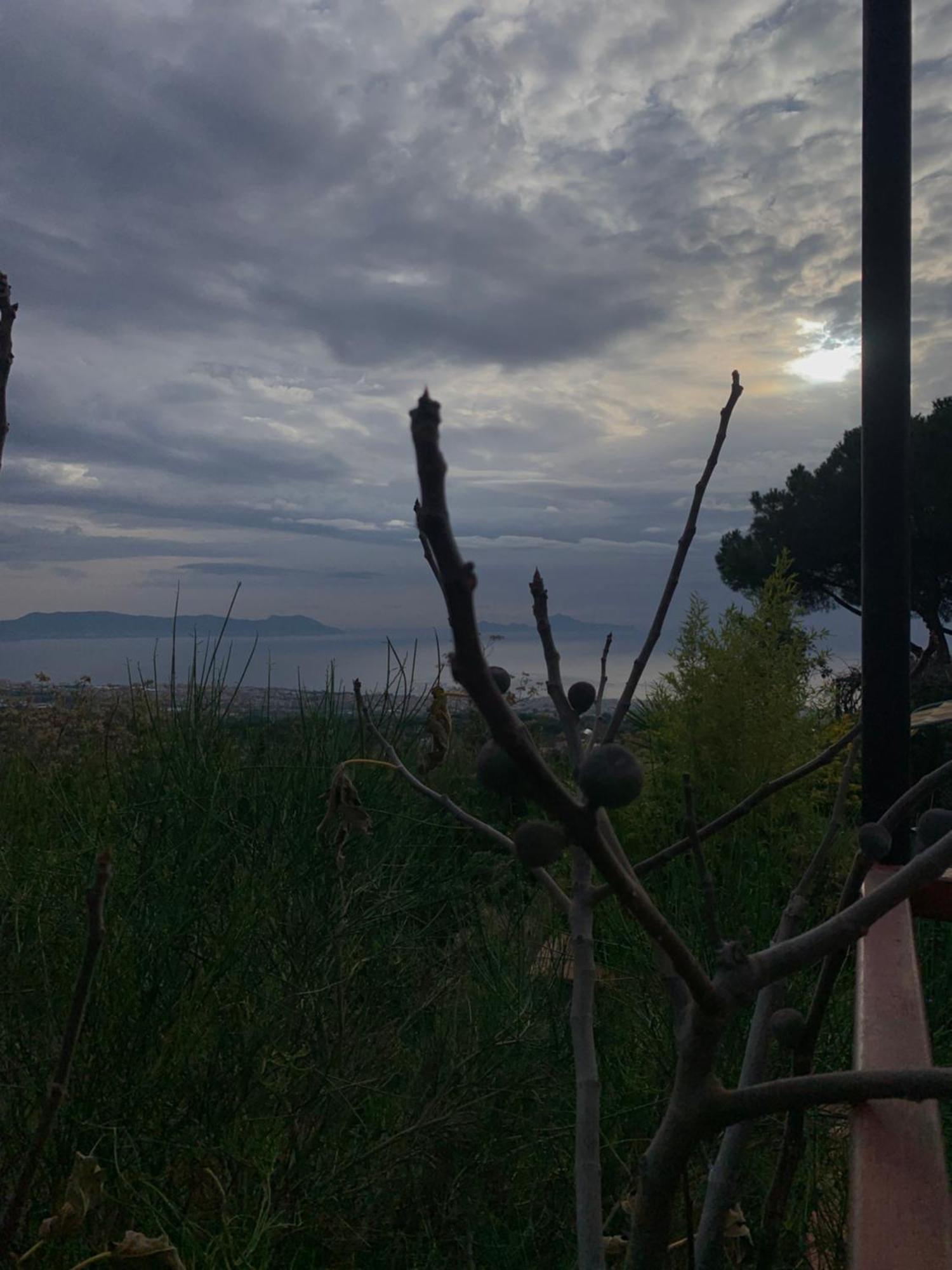 Ioli Vesuvio Bed and breakfast